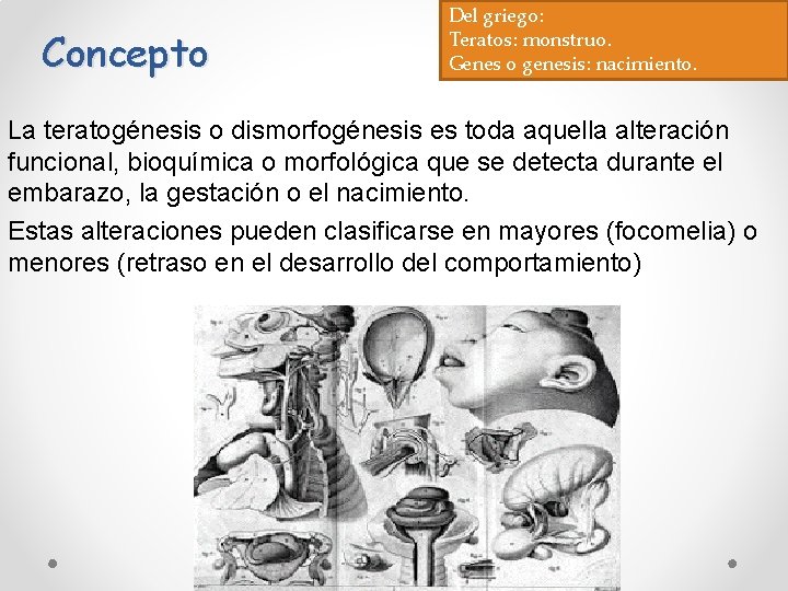 Concepto Del griego: Teratos: monstruo. Genes o genesis: nacimiento. La teratogénesis o dismorfogénesis es Concepto Del griego: Teratos: monstruo. Genes o genesis: nacimiento. La teratogénesis o dismorfogénesis es