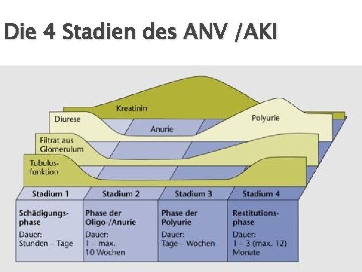 Die 4 Stadien des ANV /AKI 