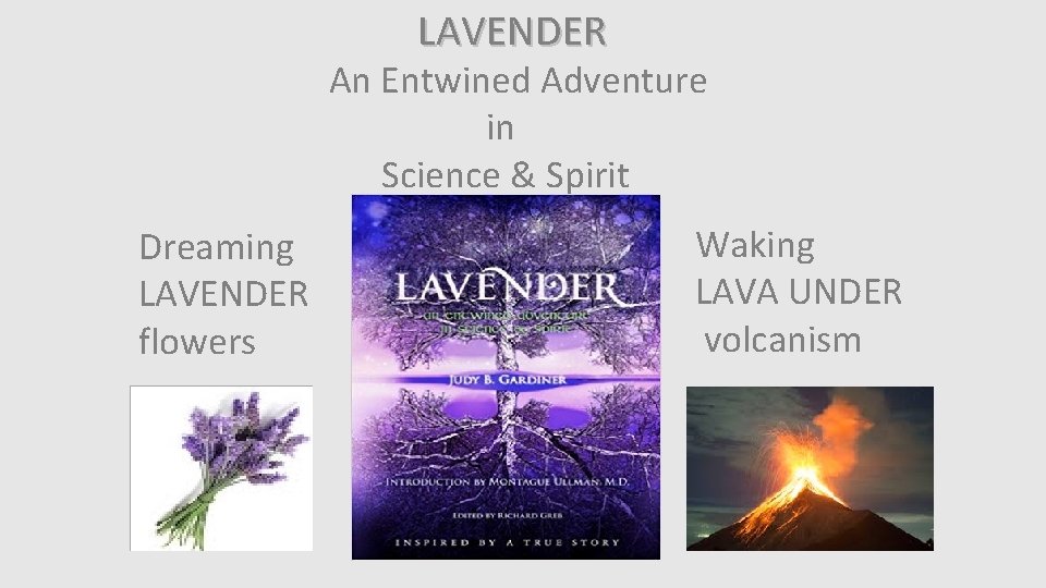LAVENDER An Entwined Adventure in Science & Spirit Dreaming LAVENDER flowers Waking LAVA UNDER