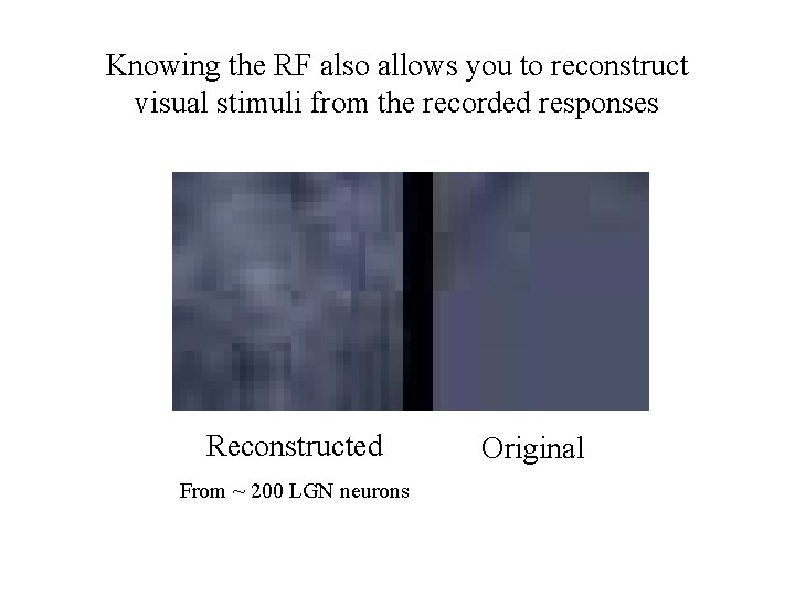 Knowing the RF also allows you to reconstruct visual stimuli from the recorded responses