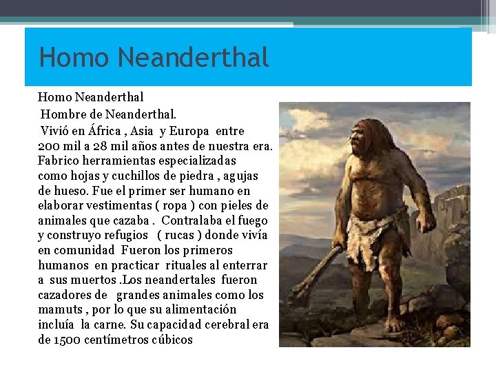 Homo Neanderthal Hombre de Neanderthal. Vivió en África , Asia y Europa entre 200