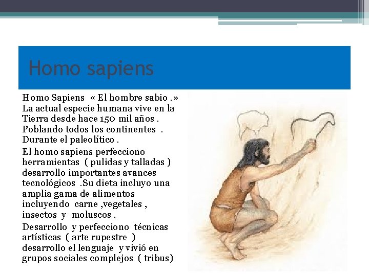 Homo sapiens Homo Sapiens « El hombre sabio. » La actual especie humana vive