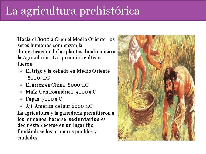 La agricultura prehistórica Hacia el 8000 a. C en el Medio Oriente los seres