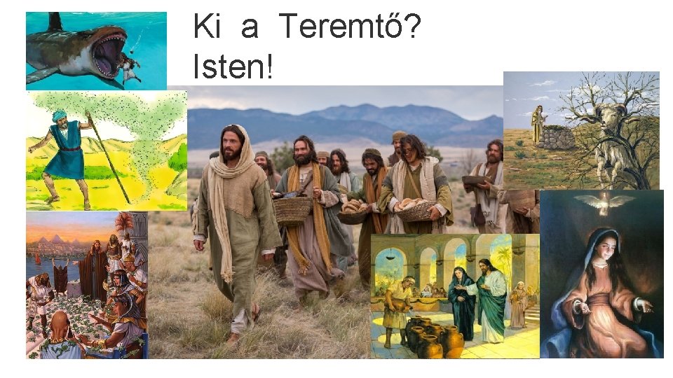 Ki a Teremtő? Isten! 