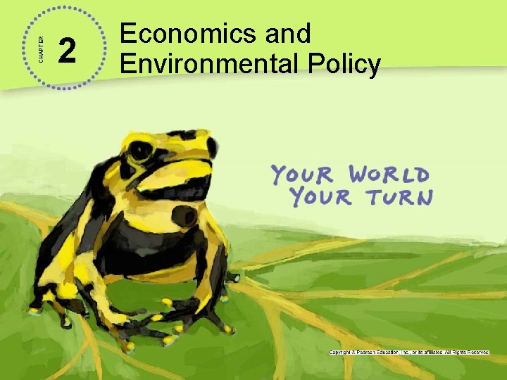 CHAPTER 2 Economics and Environmental Policy 