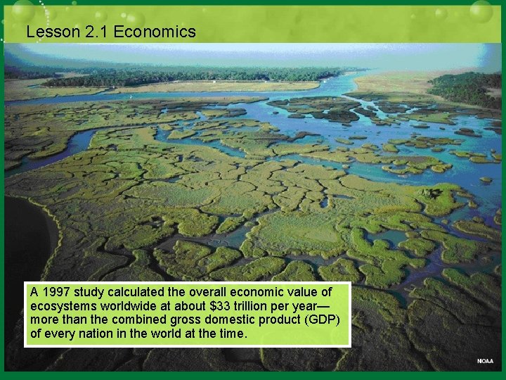 Lesson 2. 1 Economics A 1997 study calculated the overall economic value of ecosystems