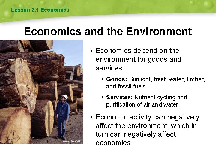 Lesson 2. 1 Economics and the Environment • Economies depend on the environment for