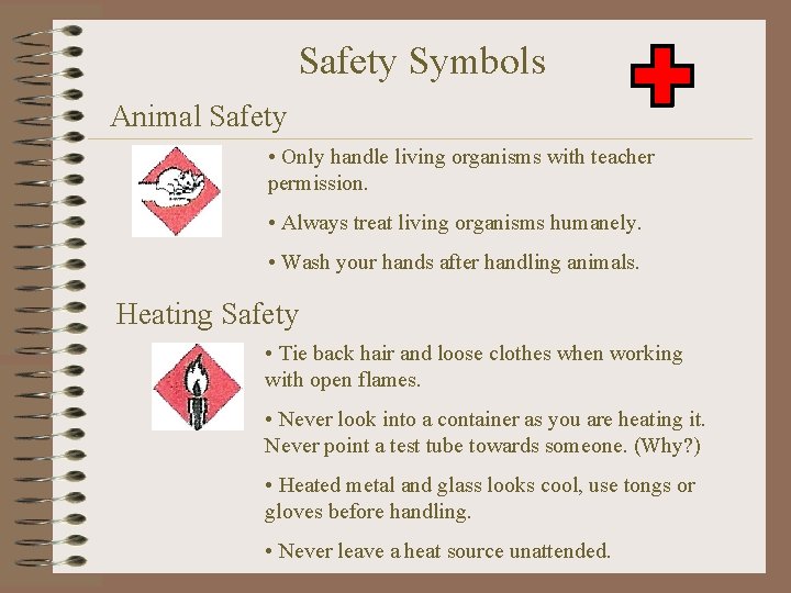 Safety Symbols Animal Safety • Only handle living organisms with teacher permission. • Always