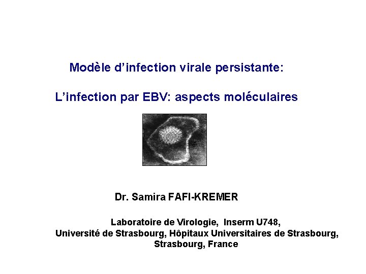 Modèle d’infection virale persistante: L’infection par EBV: aspects moléculaires Dr. Samira FAFI-KREMER Laboratoire de
