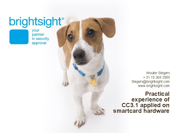 Wouter Slegers + 31 15 269 2500 Slegers@brightsight. com www. brightsight. com Practical experience