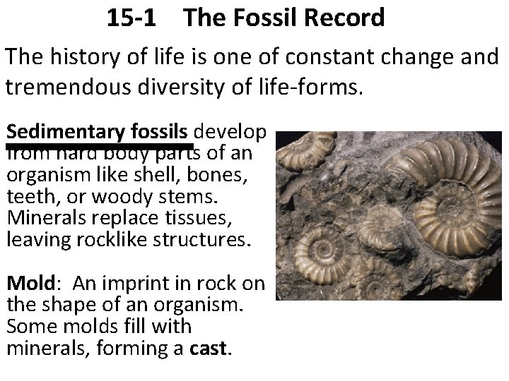 15 -1 The Fossil Record The history of life is one of constant change