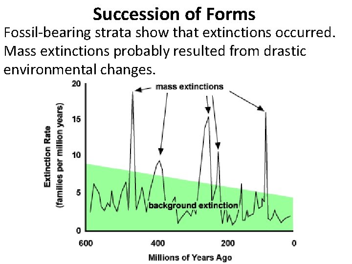 Succession of Forms Fossil-bearing strata show that extinctions occurred. Mass extinctions probably resulted from