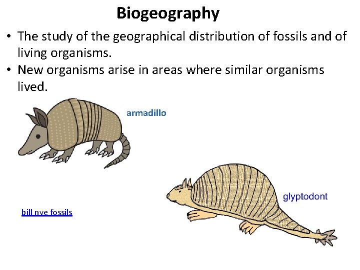 Biogeography • The study of the geographical distribution of fossils and of living organisms.
