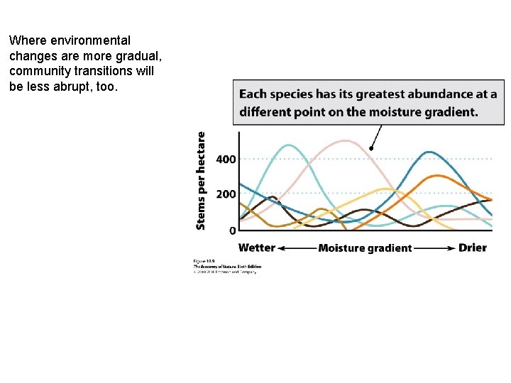 Where environmental changes are more gradual, community transitions will be less abrupt, too. 