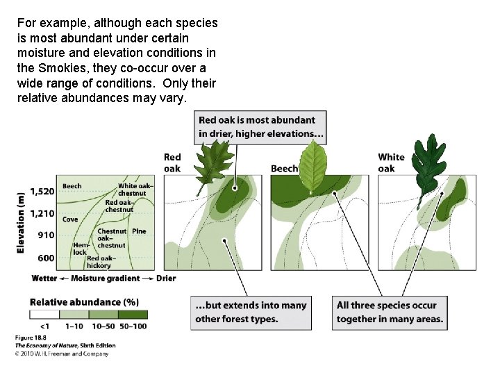 For example, although each species is most abundant under certain moisture and elevation conditions