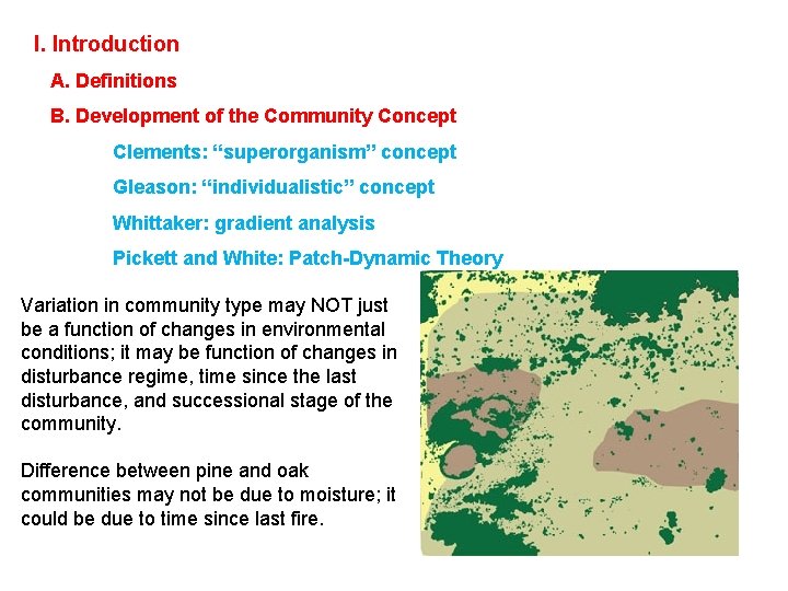 I. Introduction A. Definitions B. Development of the Community Concept Clements: “superorganism” concept Gleason: