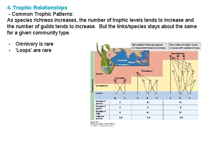4. Trophic Relationships - Common Trophic Patterns: As species richness increases, the number of