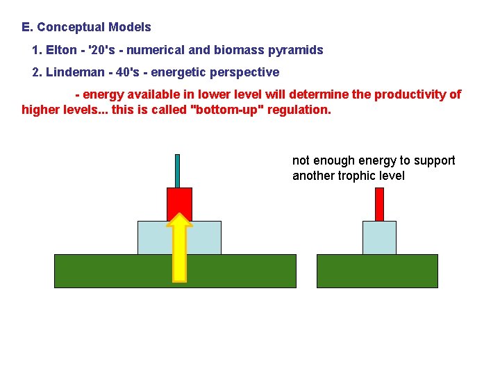 E. Conceptual Models 1. Elton - '20's - numerical and biomass pyramids 2. Lindeman