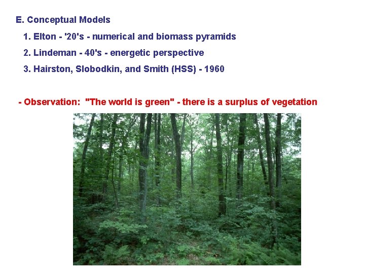 E. Conceptual Models 1. Elton - '20's - numerical and biomass pyramids 2. Lindeman