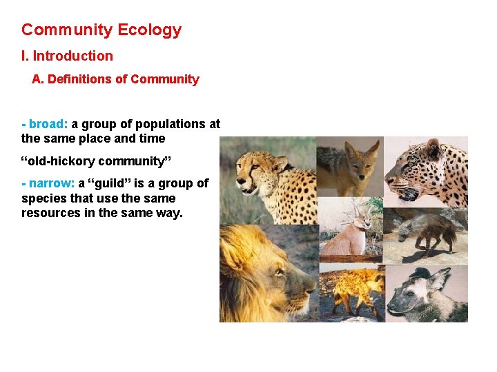 Community Ecology I. Introduction A. Definitions of Community - broad: a group of populations