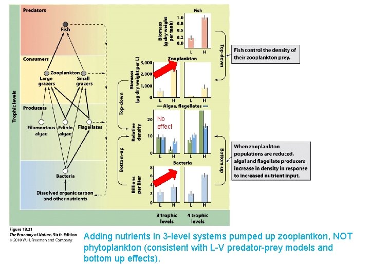 No effect Adding nutrients in 3 -level systems pumped up zooplantkon, NOT phytoplankton (consistent