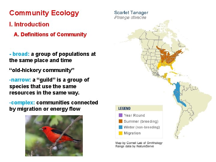 Community Ecology I. Introduction A. Definitions of Community - broad: a group of populations