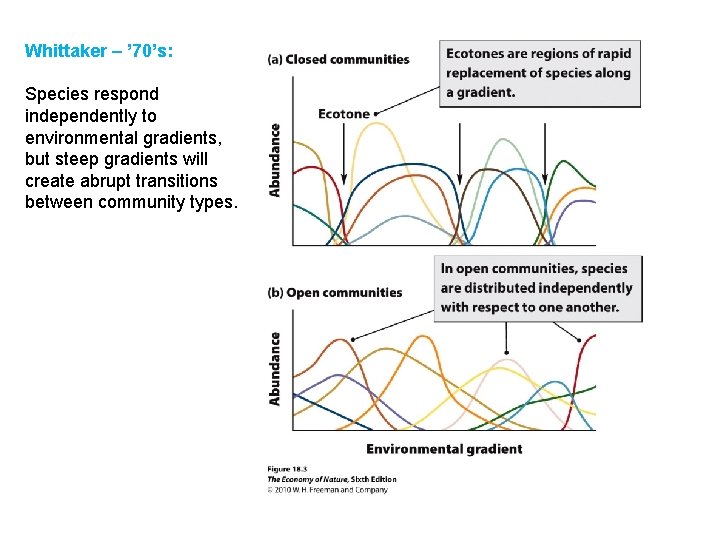 Whittaker – ’ 70’s: Species respond independently to environmental gradients, but steep gradients will