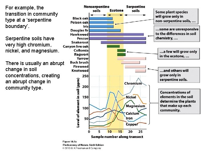 For example, the transition in community type at a ‘serpentine boundary’. Serpentine soils have