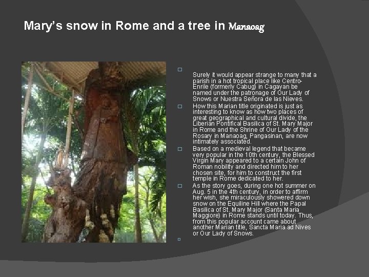 Mary’s snow in Rome and a tree in Manaoag � � � Surely it