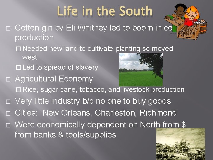 Life in the South � Cotton gin by Eli Whitney led to boom in