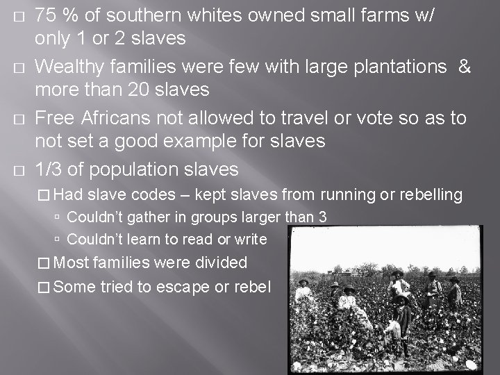 � � 75 % of southern whites owned small farms w/ only 1 or