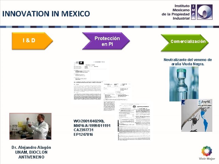 INNOVATION IN MEXICO I&D Protección en PI Comercialización Neutralizante del veneno de araña Viuda