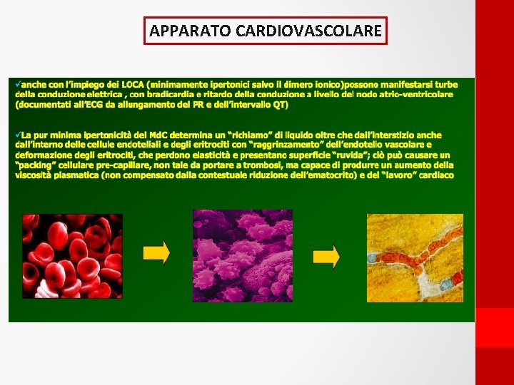 APPARATO CARDIOVASCOLARE 