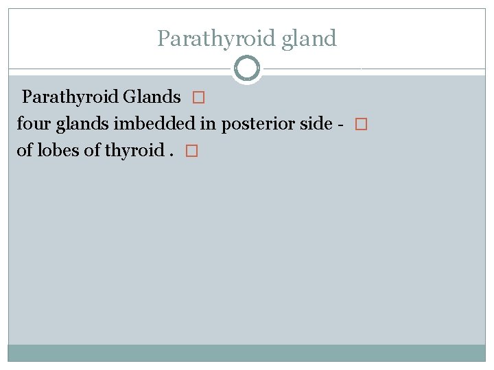 Parathyroid gland Parathyroid Glands � four glands imbedded in posterior side - � of