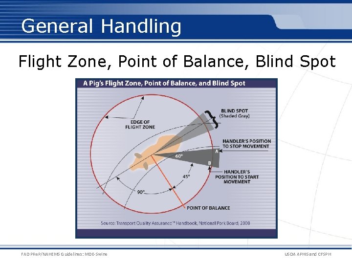 General Handling Flight Zone, Point of Balance, Blind Spot FAD PRe. P/NAHEMS Guidelines: MDE-Swine