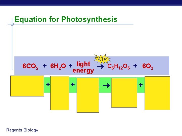 Equation for Photosynthesis ATP 6 CO 2 + 6 H 2 O + light