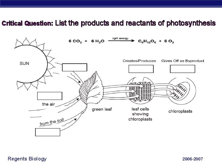Critical Question: List the products and reactants of photosynthesis Regents Biology 2006 -2007 
