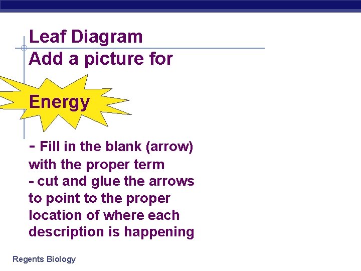 Leaf Diagram Add a picture for Energy - Fill in the blank (arrow) with