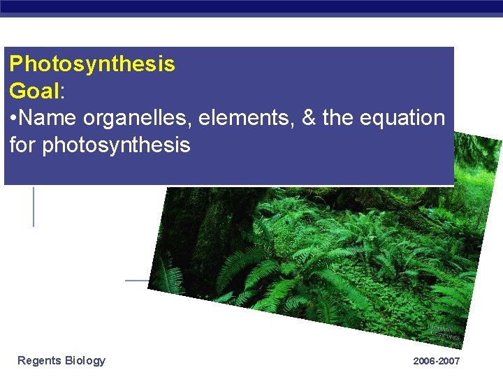 Photosynthesis Goal: • Name organelles, elements, & the equation for photosynthesis Regents Biology 2006