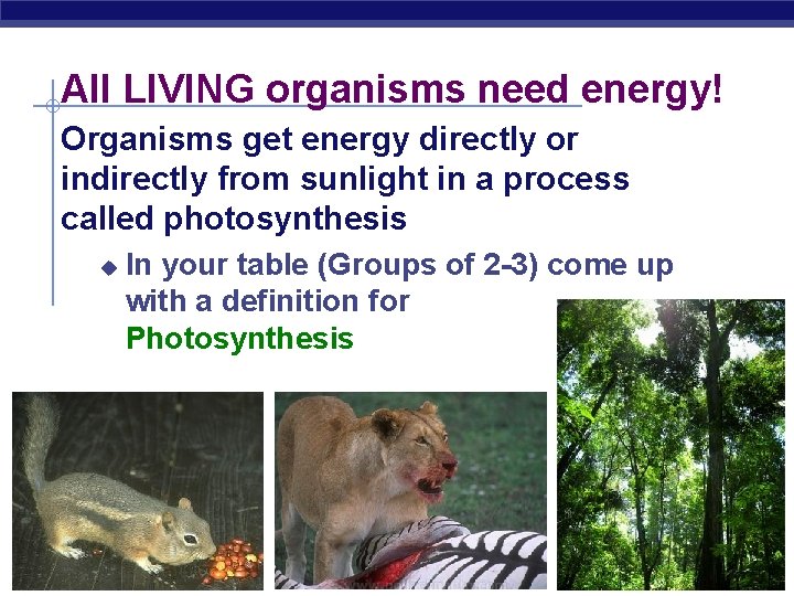 All LIVING organisms need energy! Organisms get energy directly or indirectly from sunlight in