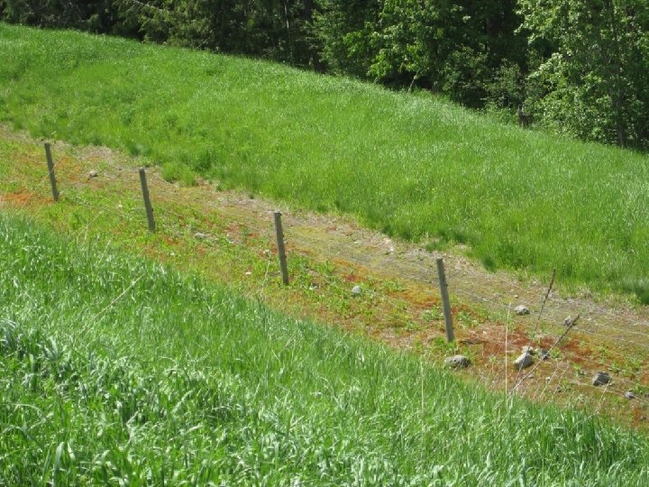 Thompson-Nicola Regional District tnrd. ca THE END 