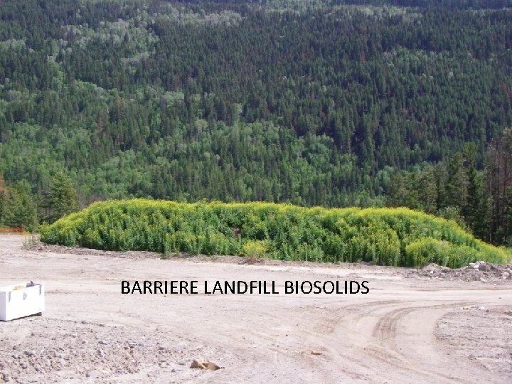 BARRIERE LANDFILL BIOSOLIDS 