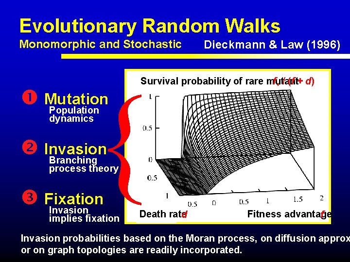 Evolutionary Random Walks Monomorphic and Stochastic Dieckmann & Law (1996) { Mutation Population f+