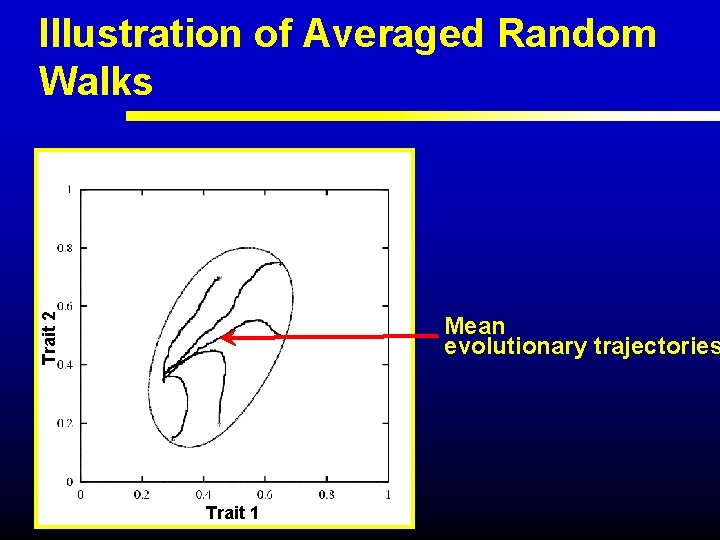 Trait 2 Illustration of Averaged Random Walks Mean evolutionary trajectories Trait 1 