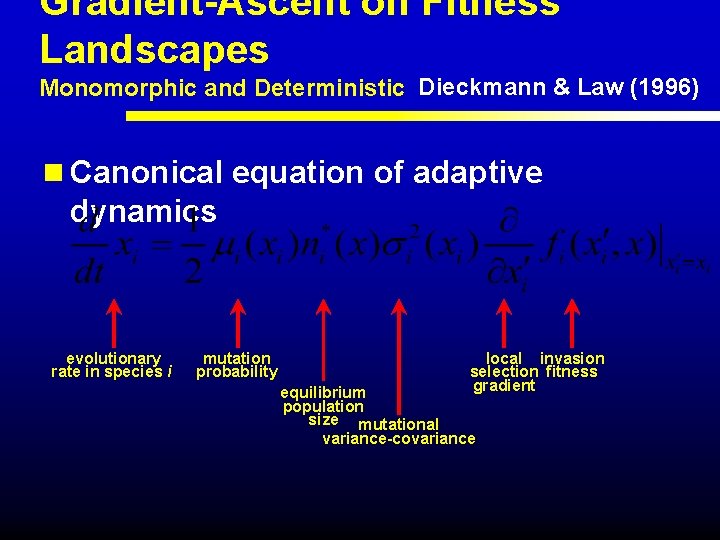 Gradient-Ascent on Fitness Landscapes Monomorphic and Deterministic Dieckmann & Law (1996) n Canonical equation