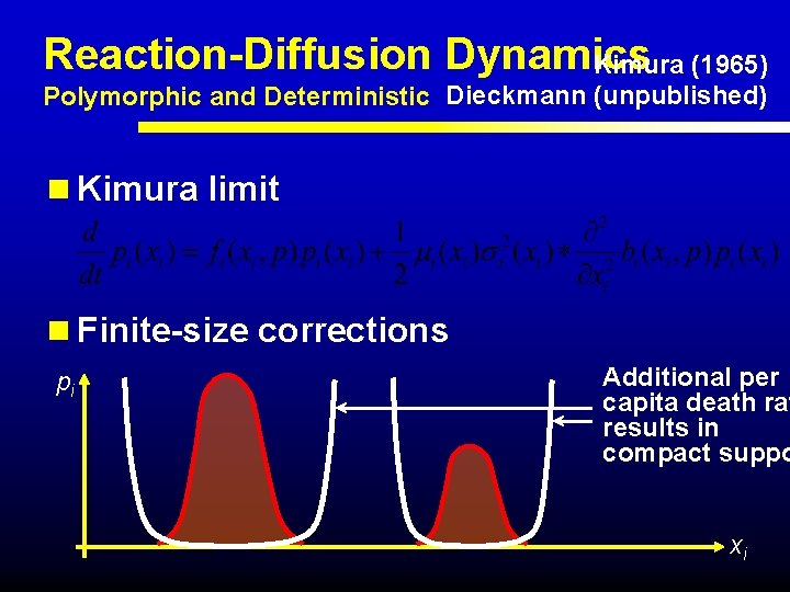 Reaction-Diffusion Dynamics Kimura (1965) Polymorphic and Deterministic Dieckmann (unpublished) n Kimura limit n Finite-size