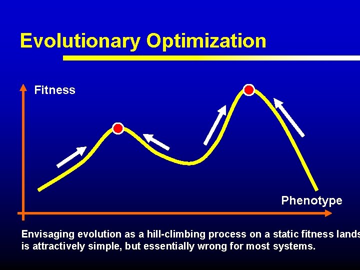 Evolutionary Optimization Fitness Phenotype Envisaging evolution as a hill-climbing process on a static fitness