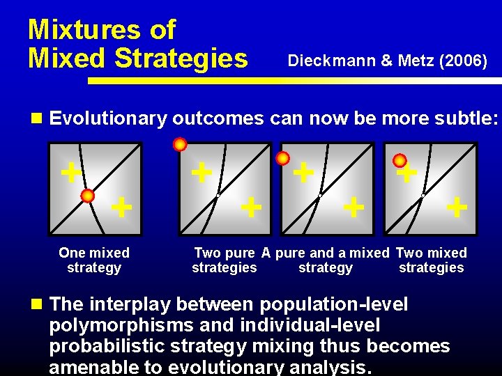 Mixtures of Mixed Strategies Dieckmann & Metz (2006) n Evolutionary outcomes can now be