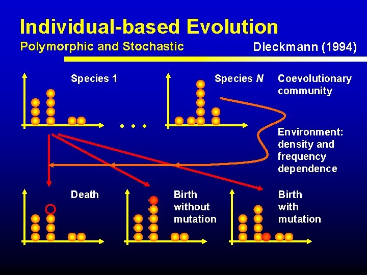 Individual-based Evolution Polymorphic and Stochastic Dieckmann (1994) Species N Species 1 . . .