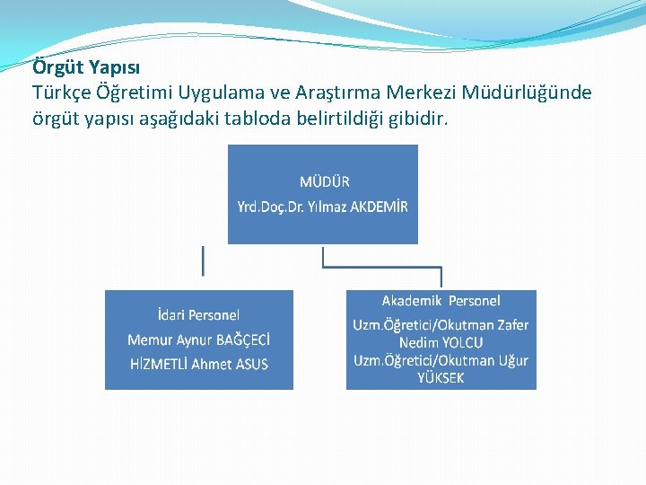 Örgüt Yapısı Türkçe Öğretimi Uygulama ve Araştırma Merkezi Müdürlüğünde örgüt yapısı aşağıdaki tabloda belirtildiği